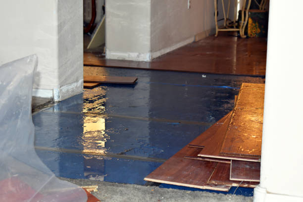 Professional Basement Flood Cleanup technician working in Garden City, AL